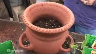 Strawberry Pots