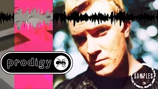 The Samples: The Prodigy Edition 1996 - 2004    + Bonus Samples