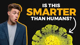 Slime Mold Intelligence: Smarter Than Humans?