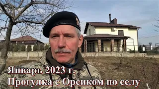 #313 Три года после переезда в Россию/прогулка по селу молдаванское/кане корсо в доме/