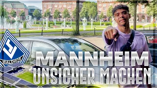 MANNHEIM UNSICHER MACHEN 🔥😂 | Alltag mit Willy 👀 | Niklas Wilson