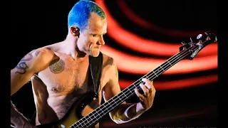 RHCP - Around the world - Bass backing track