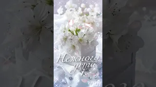 Доброго и нежного весеннего утра!