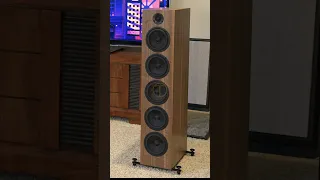 Unboxing CSS Audio Torri S4 Speaker