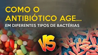 Entenda antibióticos definitivament