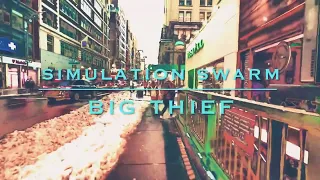 Simulation Swarm - Big Thief