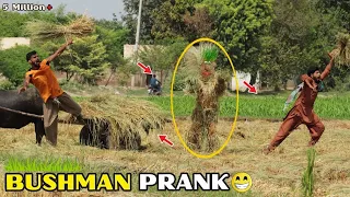 Most Funniest New BUSHMAN Prank Compilation | Top Fails Pranks Ever 😄