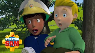 Kłopoty podczas wycieczki! | strażak sam urzędnik | bajki dla dzieci