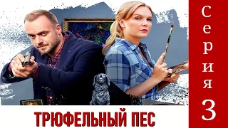 Детективы Анны Малышевой. Трюфельный пес. Фильм 3 / Серия 3 / Детектив HD