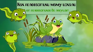 Как головастики маму искали. от головастиков до лягушат. Сказка + наблюдение. Цикл жабы.