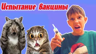 Пашка изобрёл ВАКЦИНУ и испытал на КОШКАХ