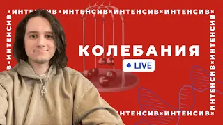 Колебания механических систем. Интенсив 2024