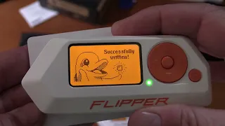 Is The Flipper Zero Useful For Anything?