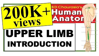 Chp1 | Upper Limb Introduction | BD Chaurasia Regional Anatomy | Dr Asif Lectures