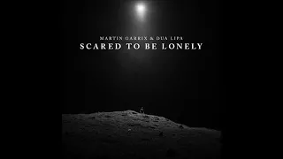 Martin Garrix & Dua Lipa - Scared To Be Lonely ( Cover )