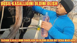 Yashur kasalligini oldini olish bo‘yicha maslahat.