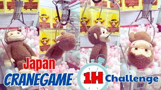 【CLAW MACHINE】1 Hour CHALLENGE!!  Various types of GAMES.　Possible to WIN !?!?!  🇯🇵JAPAN🇯🇵