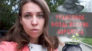 Транс нарцисса, летучие обезьяны, мерзость злодеяний