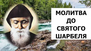 У БЕЗНАДІЙНИХ ОБСТАВИНАХ Молитва до святого Шарбеля / Молитва у Ваших проханнях. Молімось за Україну