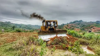 Awesome Bulldozer CAT D6R XL Covering the Mud from Wild Elephant Bathing on Mount