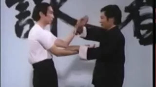 Wing Chun Basic Techniques part 4 Shaolin Kung Fu and Ip Man Chinese Fighting Art