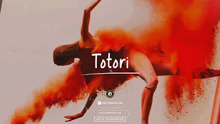 Afrobeat Instrumental – ‘’TOTORI’’ / Afro Type Beat / DaVido x Tekno