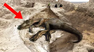 10 Most Incredible Prehistoric Creature Discoveries!