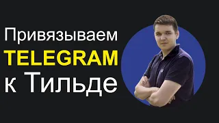 Подключаем TELEGRAM к Тильде (получать заявки и лиды с форм в мессенджеры)