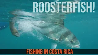 Pura Vida Rooster Fish in Costa Rica - Day 3