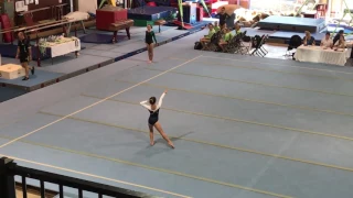 Level 5 floor routine - WAG australia