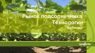 Вебинар: Рынок подсолнечника РФ, ЕС, СНГ. Технологии возделывания, посевные площади, урожайность