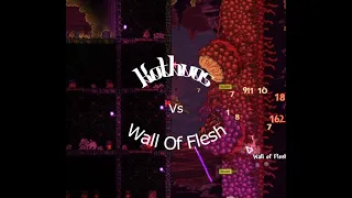 Wall Of Flesh-A Noob In Terraria