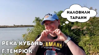 Рыбалка на реке Кубань / Попали на тарань / Выловила сазана