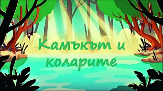 Нека ти разкажа "КАМЪКЪТ И КОЛАРИТЕ"