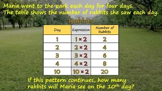 4th Grade - Math - Numerical Patterns - Topic Overview