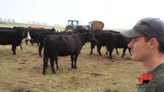 Canada Beef Sustainable Beef Production