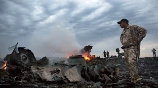 Malaysia Airlines Crash: What Happened? | Mashable