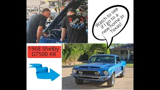 This 1968 Shelby GT500 KR is one rare muscle car we found for Dennis Collins!"