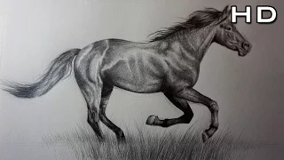 Cómo Dibujar un Caballo Realista a Lápiz Paso a Paso - TUTORIAL