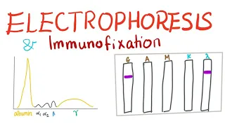 Electrophoresis, Immunoelectrophoresis and Immunofixation