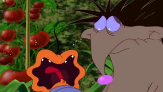 Oggy and the Cockroaches 😭🦁 Sadness for DeeDee 😭🦁 Full Episode HD