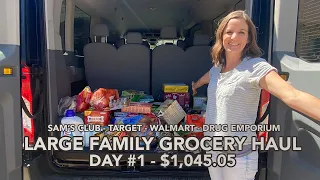 Once-a-Month Large Family Grocery Haul 🛒 April: Sam's, Target, Walmart and Drug Emporium