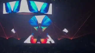 Bassnectar @ BassCenter XI Night 2 - Butterfly VIP