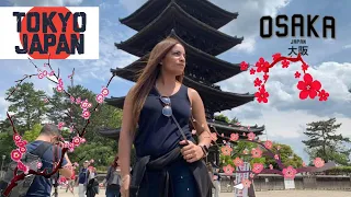 My First Trip to Japan | Tokyo & Osaka