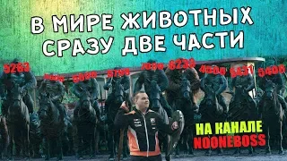 ЧТО С ДОТОЙ ? 5000 ИГРОКИ ЗА/ПРОТИВ NOONE | ОТНОШЕНИЕ К ПАПИЧУ