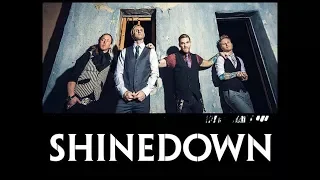 Я Люблю Тебя Москва "Концерт группы Shinedown"