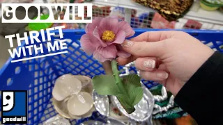 What Are The CHANCES? | GOODWILL Thrift With Me | Reselling