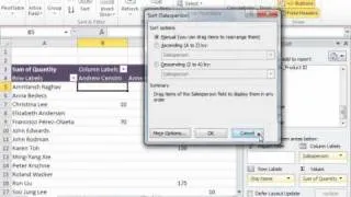 Excel 2010 Tutorial Sorting and Filtering PivotTable Data Microsoft Training Lesson 22.7