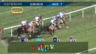 Gulfstream Park Carrera 7 - 20 de Febrero  2019