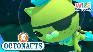 @Octonauts - Underwater Mysteries | Compilation | Wizz Cartoons